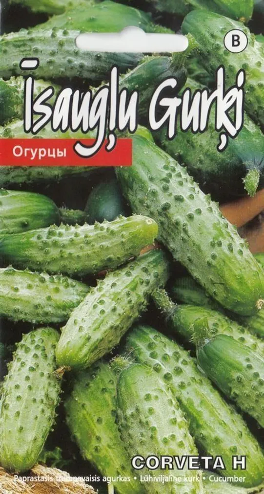 SEEMNED KURZEMES SEKLAS LÜHIVILJALINE KURK CORVETA H 1G