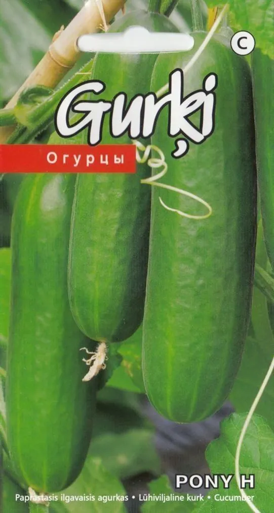 SEEMNED KURZEMES SEKLAS LÜHIVILJALINE KURK PONY H 10 SEEMET