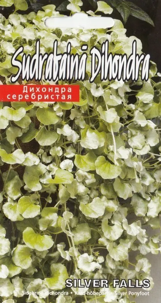 LILLESEEMNED KURZEMES SEKLAS KARD-HÕBEPAEL SILVER FALLS 5 SEEMET