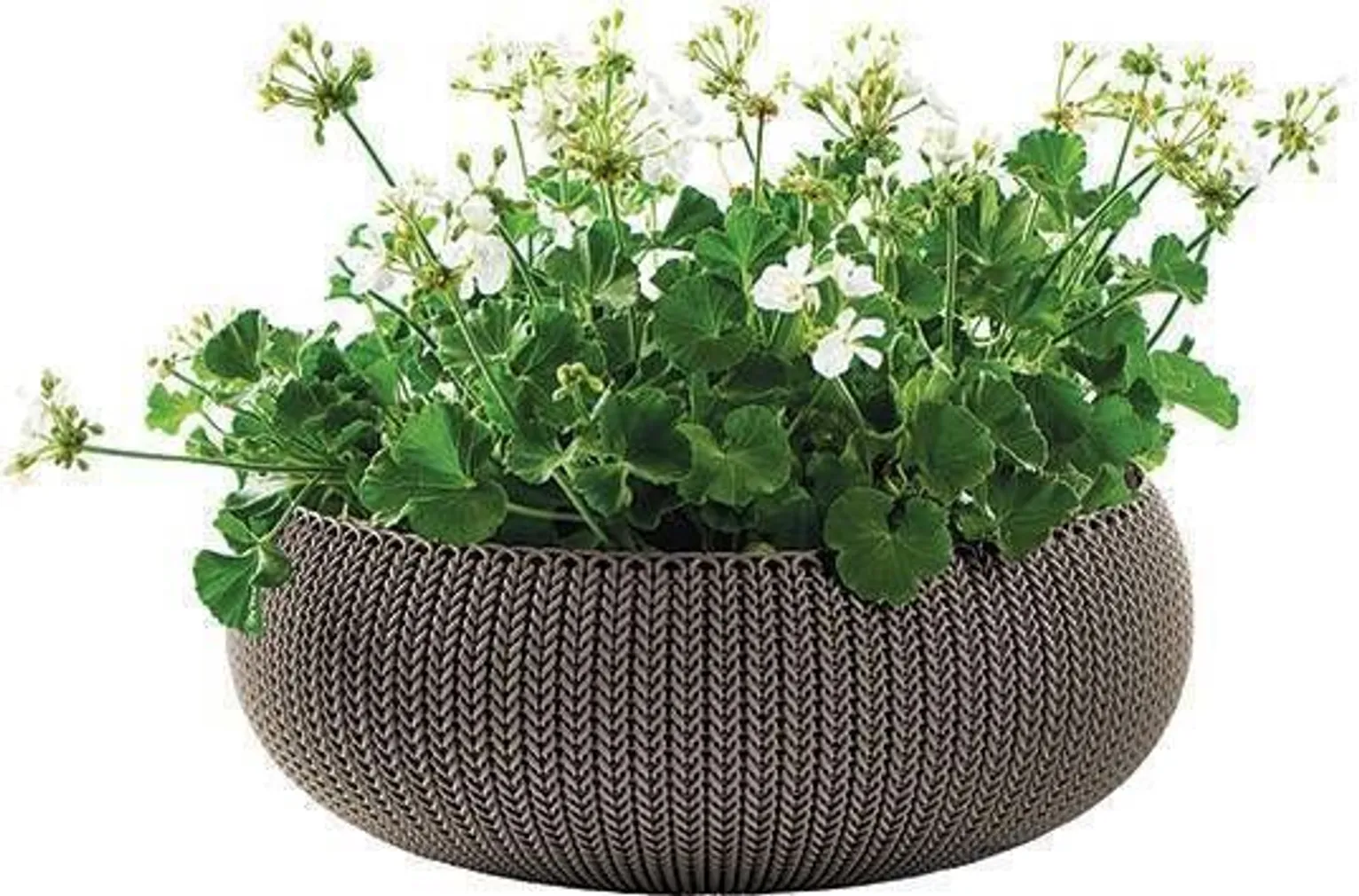 LILLEPOTIÜMBRIS COZY 22,8L PRUUN