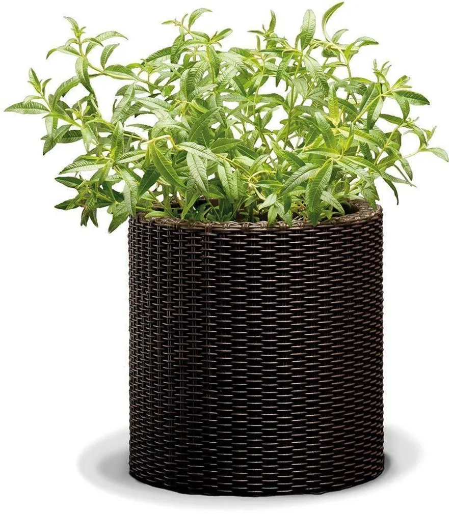 LILLEPOTIÜMBRIS CYLINDER 7L PRUUN