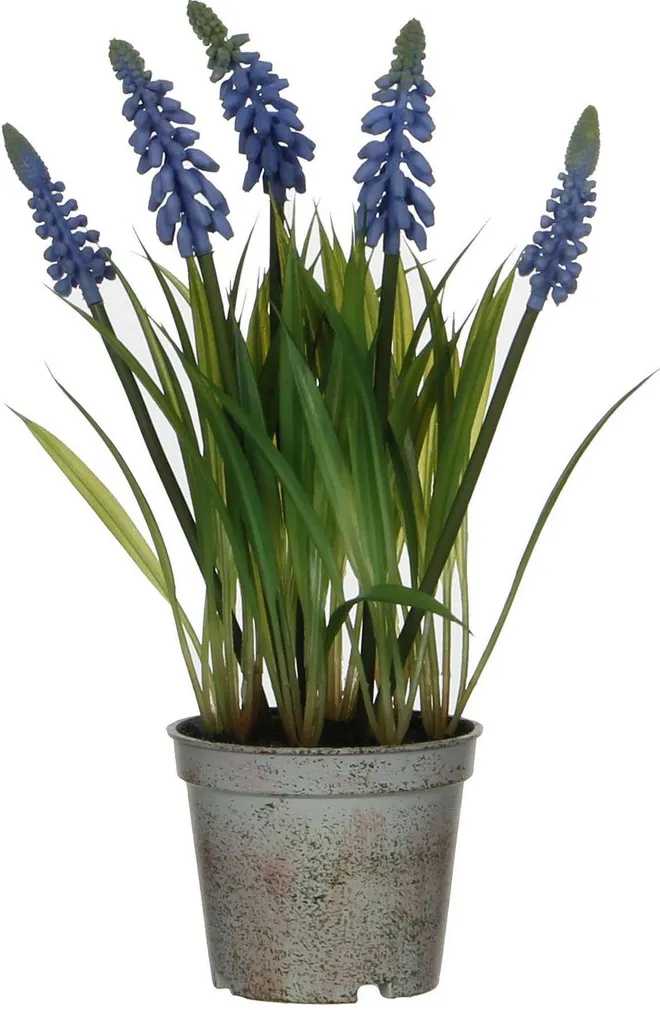 KUNSTLILL MICA DECORATIONS VIINAMARJA HÜATSINT PLASTPOTIS 27X9CM