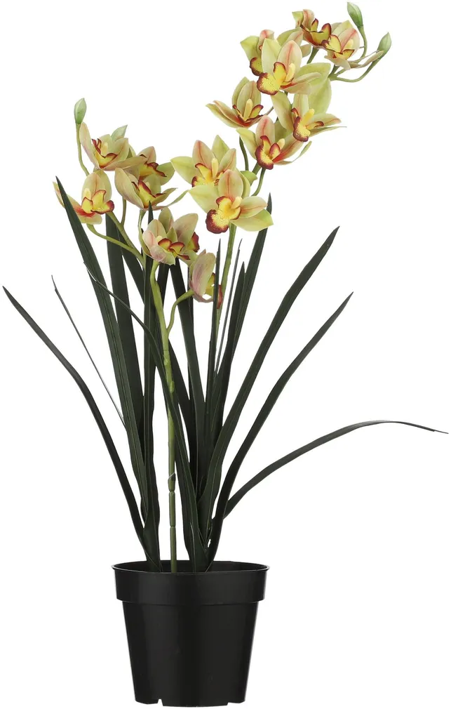 KUNSTLILL MICA DECORATIONS TSÜMBIIDIUM POTIS 92X19CM