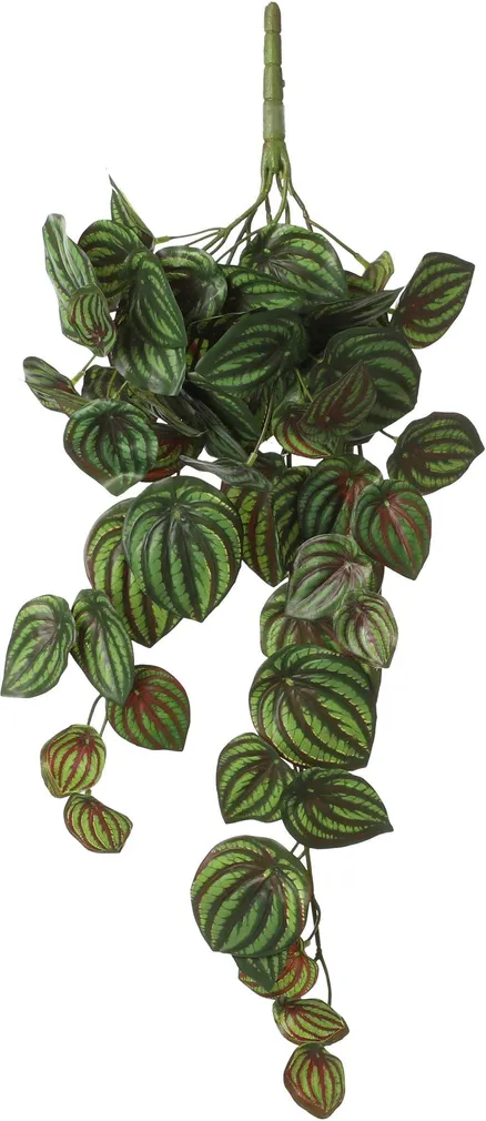 KUNSTLILL MICA DECORATIONS RIPUTATAV PEPEROOMIA 58X20X14CM ROHELINE