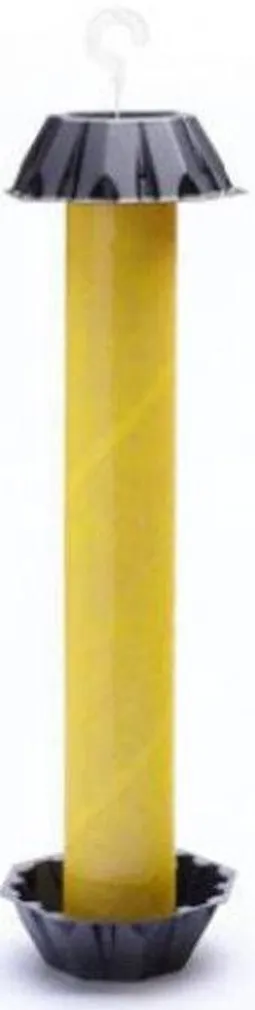 LIIMPÜÜNIS MKDS ÄÄDIKAKÄRBESTELE MAGNET DROSOPHILA BANANA