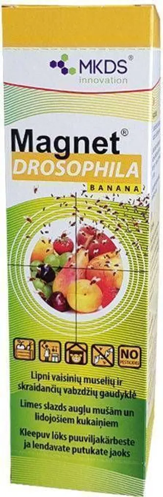 LIIMPÜÜNIS MKDS ÄÄDIKAKÄRBESTELE MAGNET DROSOPHILA BANANA