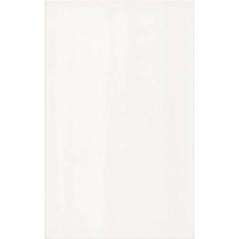 SEINAPLAAT BIALA MATOWA 25X40CM VALGE MATT 1,1M² PAKIS