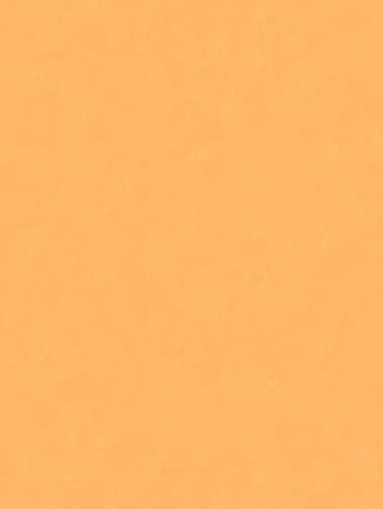 TAPEET DUTCH WALLCOVERINGS JET SETTER UNI ORANJE