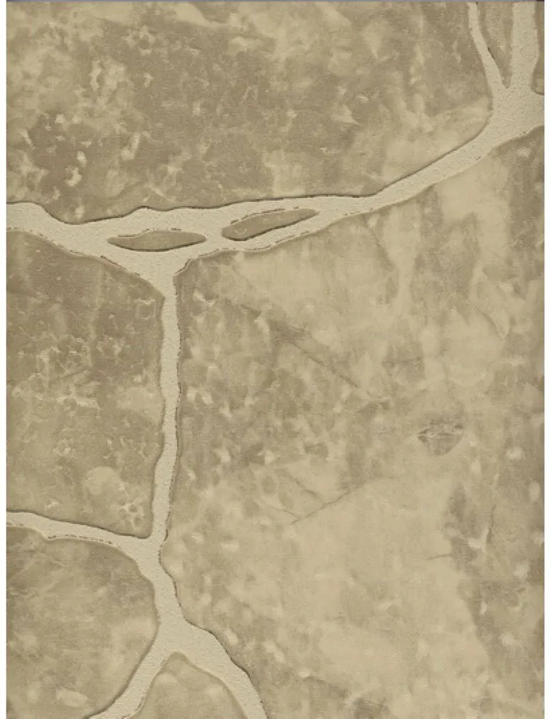 SEINAPANEEL FISKOSTAR MDF NIISKUSKINDEL 2440X1220X6MM BEEŽ MAAKIVI