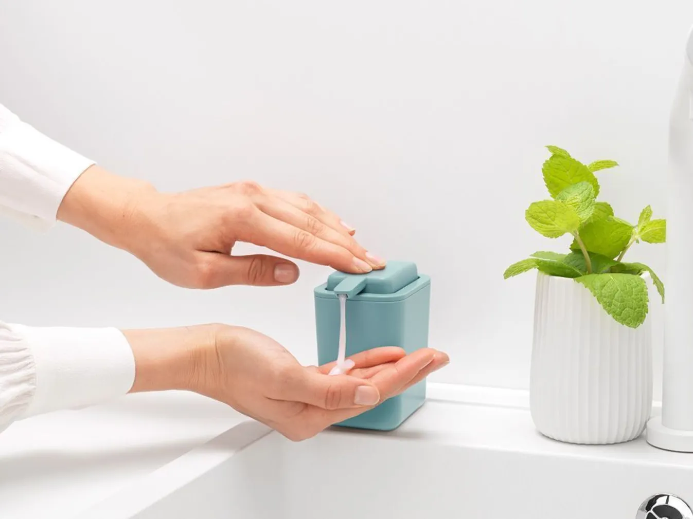 SEEBIDOSAATOR BRABANTIA MINT