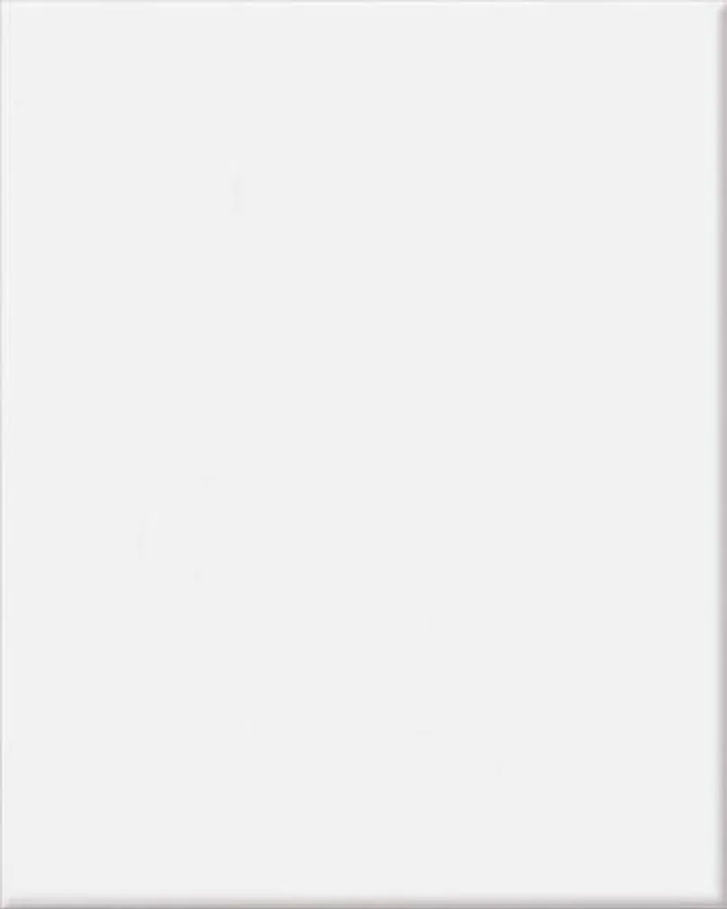 KERAAMILINE SEINAPLAAT MITO TANIA VALGE 20X25CM 1,5M² PAKIS