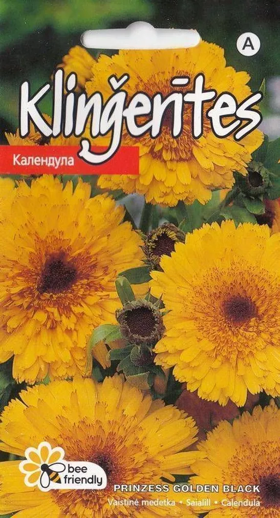 SAIALILL PRINZESS GOLDEN BLACK 1G