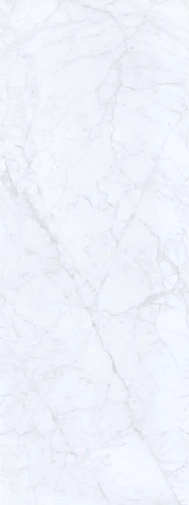 SEINAPANEEL VILO PVC 250X2650MM CARRARA 2,65M² PAKIS