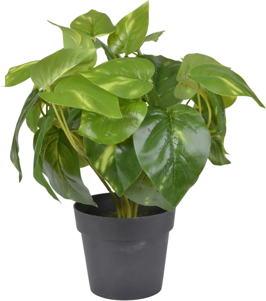 KUNSTTAIM LUUDEROHI 23CM, PLASTIK POTIS