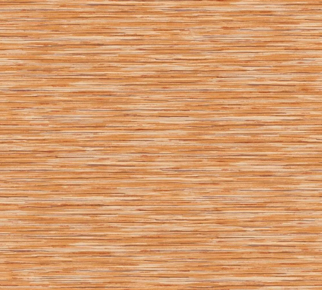 TAPEET AS CREATION DANIEL HECHTER 6 C37525-1