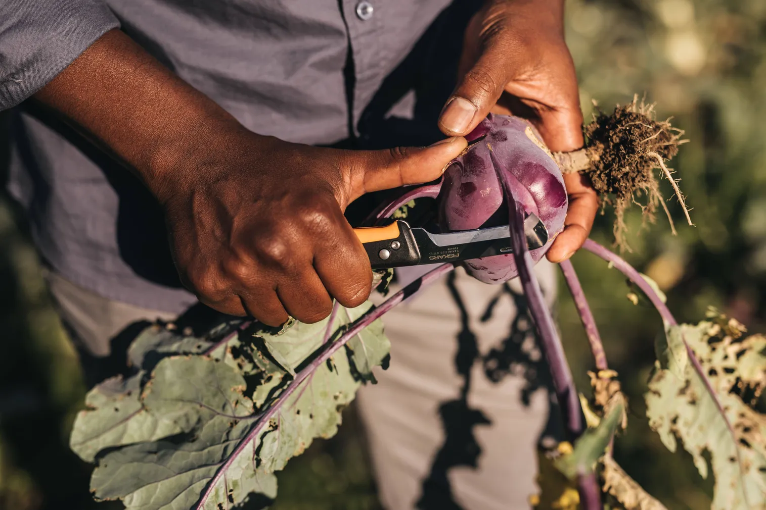 AIANUGA X-SERIES KOKKUPANDAV K80