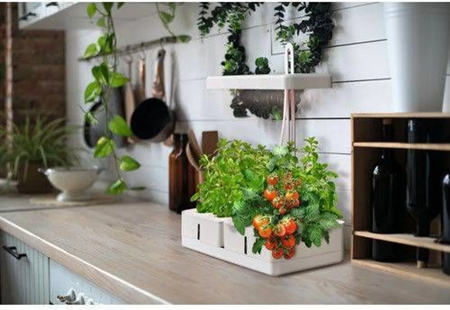 TAIMELAMBIGA KASVATUSKOMPLEKT LEDVANCE 20W 3550K 1350LM