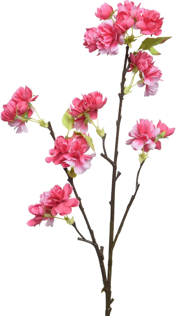 KUNSTLILL EVERLANDS BLOSSOM 76CM