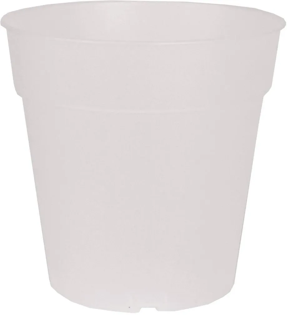 ISTUTUSPOTT ORHIDEELE ARTEVASI MADAGASCAR TO GROW 21CM LÄBIPAISTEV