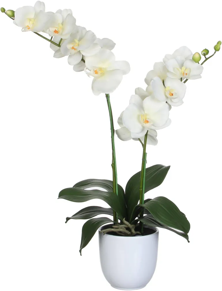 KUNSTLILL MICA ORHIDEE KREEMJAS POTT 66X38CM, VALGE