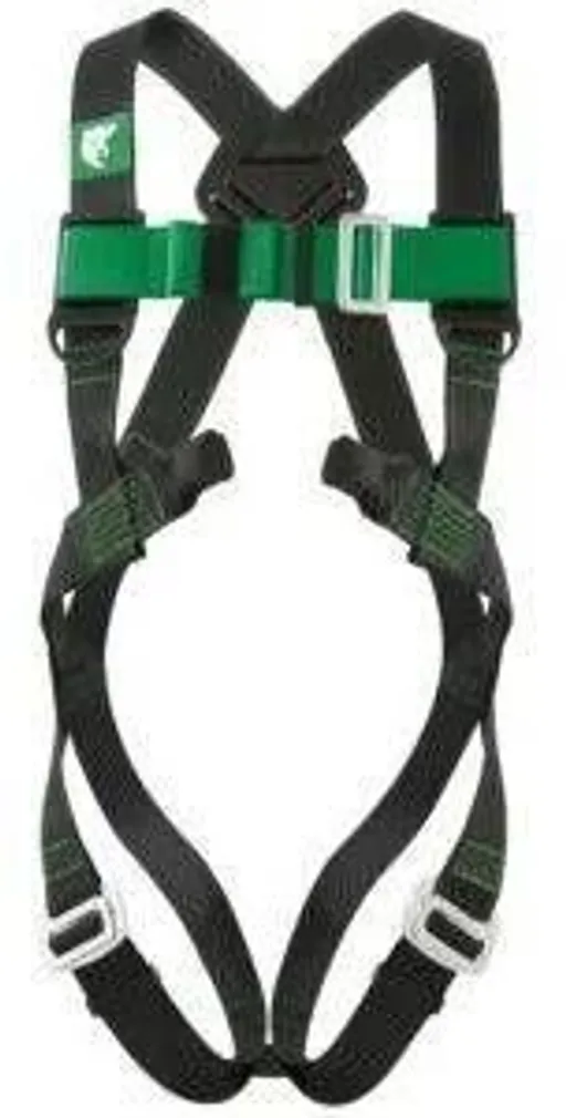 TÄISTURVARAKMED FELIS ISTERIHMADEGA