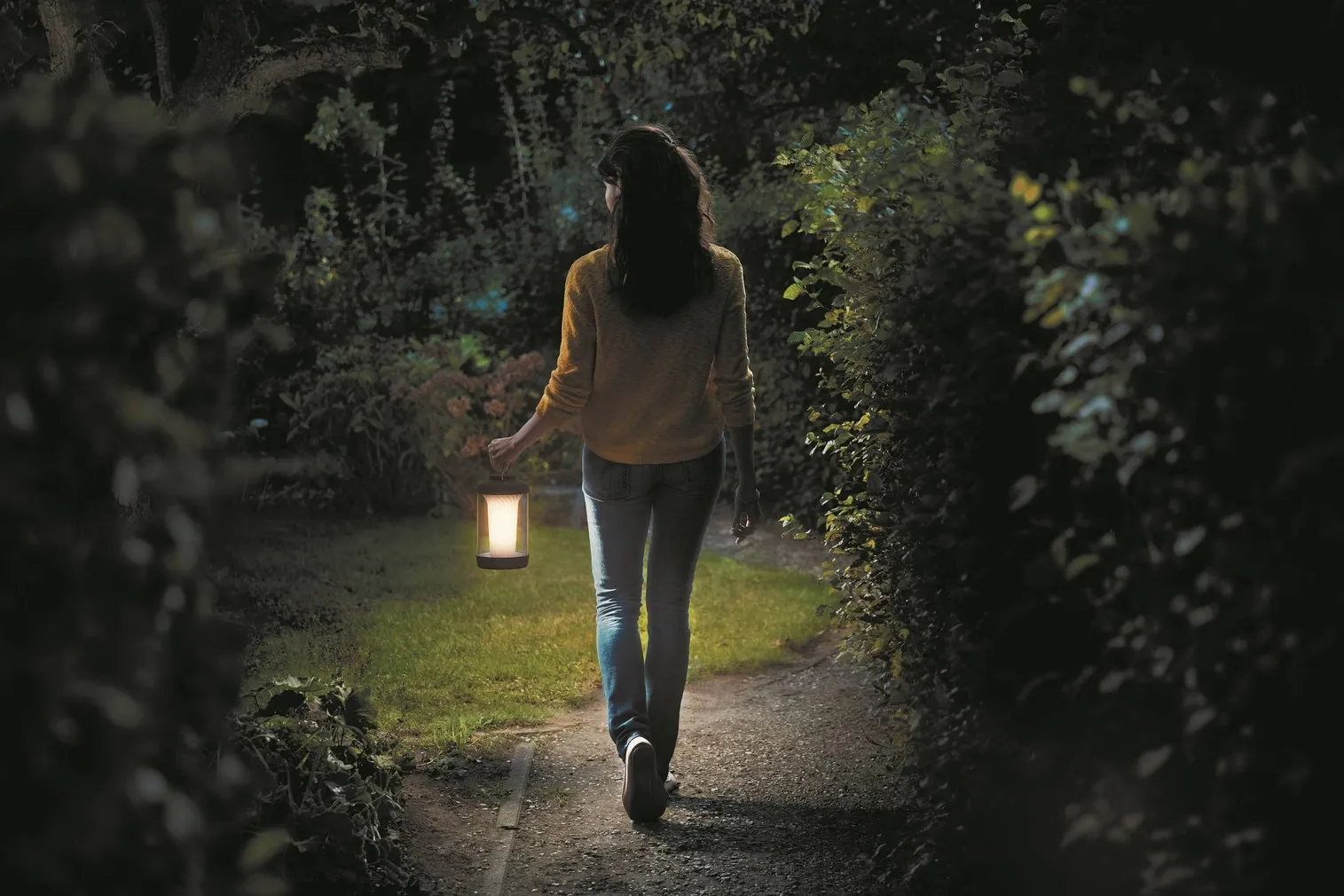 MATKALAMP PHILIPS CICERO 6W 5000K USB