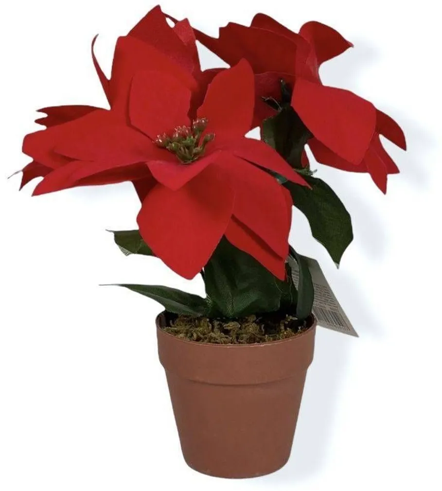 KUNSTLILL JÕULUTÄHT POTIS