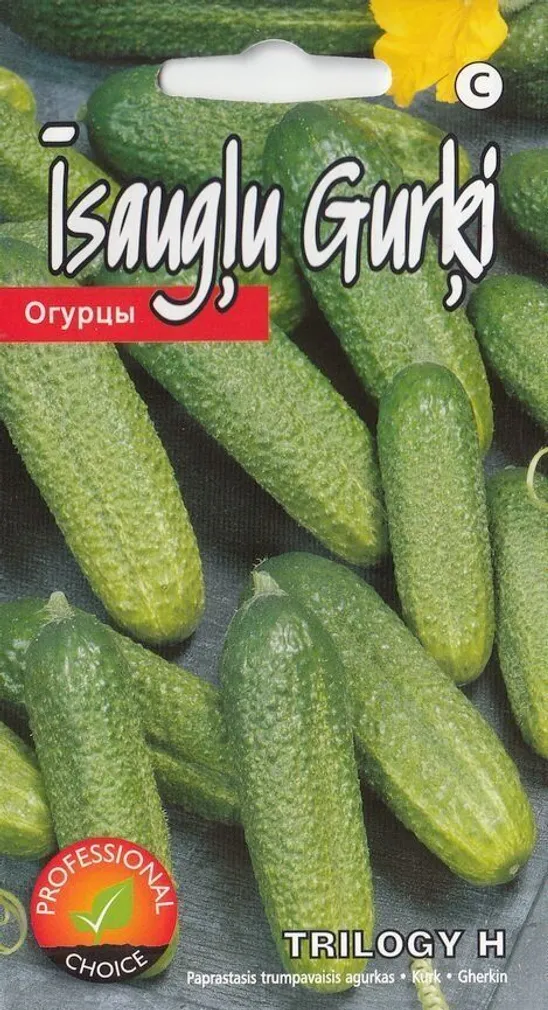 SEEMNED KURZEMES SEKLAS KURK "TRILOGY" AVAMAALE H 15 SEEMET