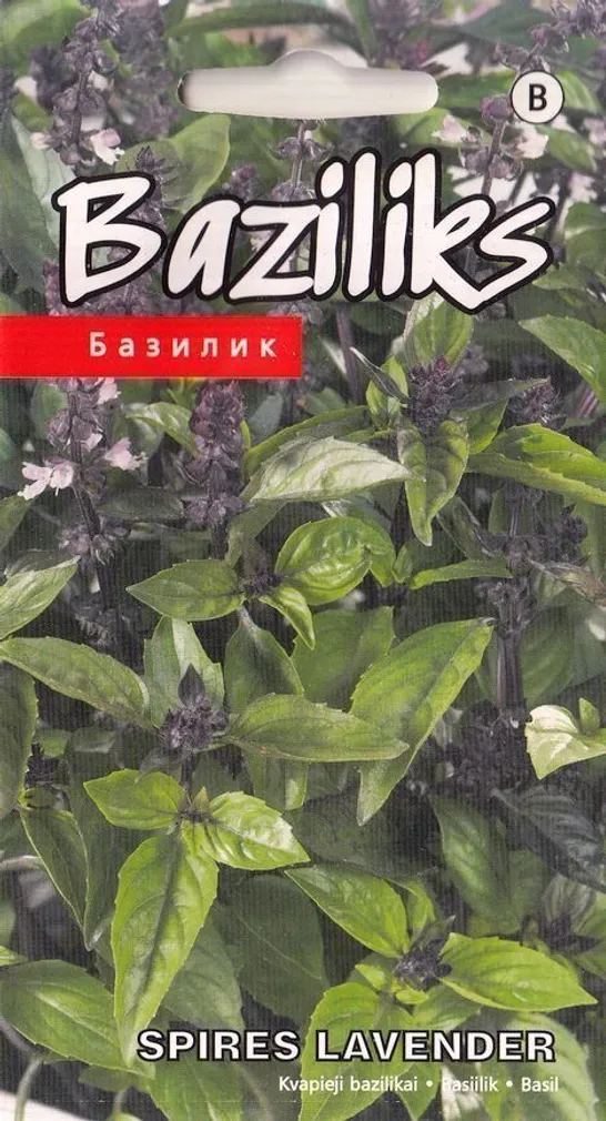 SEEMNED KURZEMES SEKLAS BASIILIK "SPIRES LAVENDER" 20 SEEMET