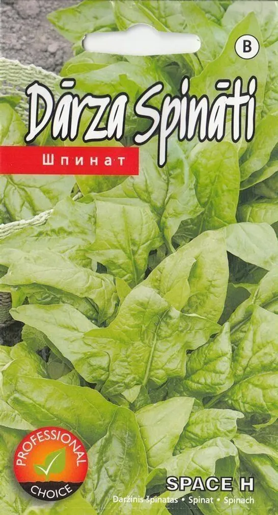 SEEMNED KURZEMES SEKLAS SPINAT "SPACE" H 3G