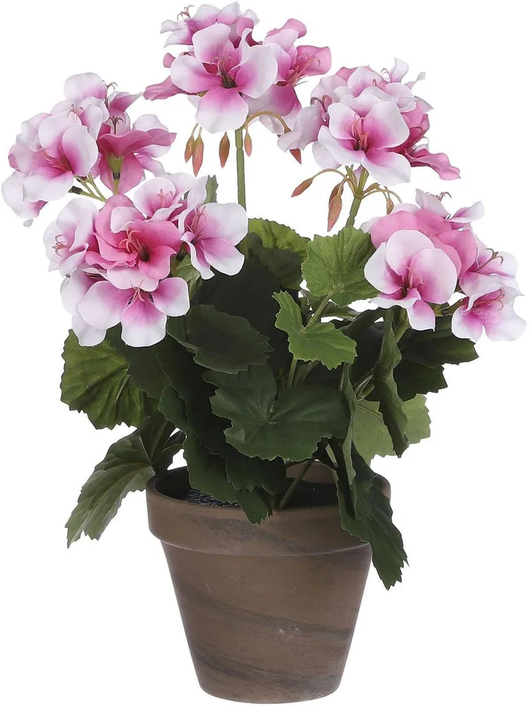 KUNSTTAIM MICA KUREREHA POTIS 11,5CM, 33X20CM TUHMROOSA