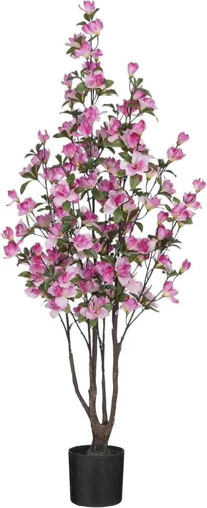 KUNSTTAIM MICA DECORATIONS ASELEA POTIS 105X25CM ROOSA