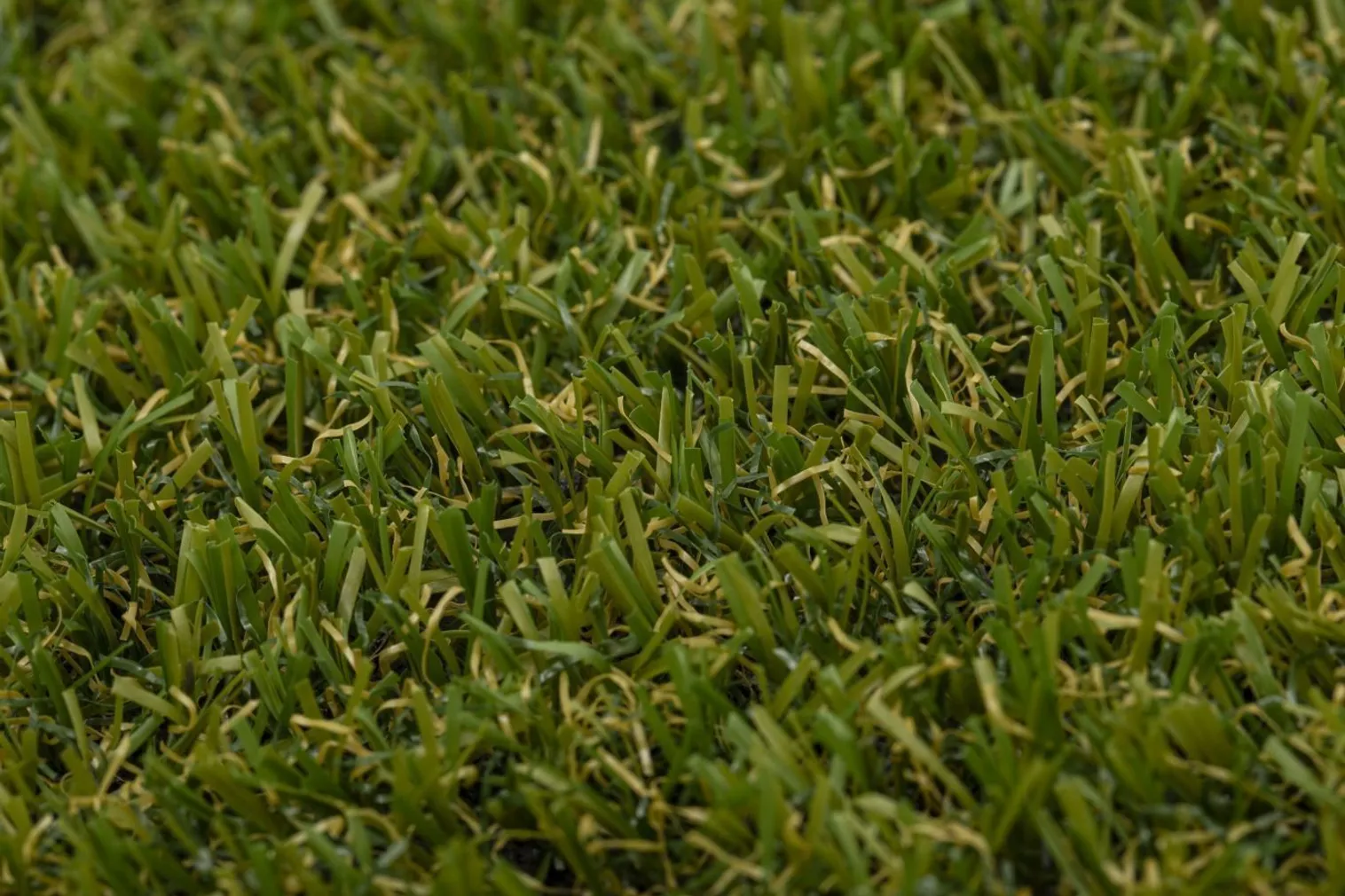 TERRASSIKATE TURFGRASS 2M ALVA OLIVE