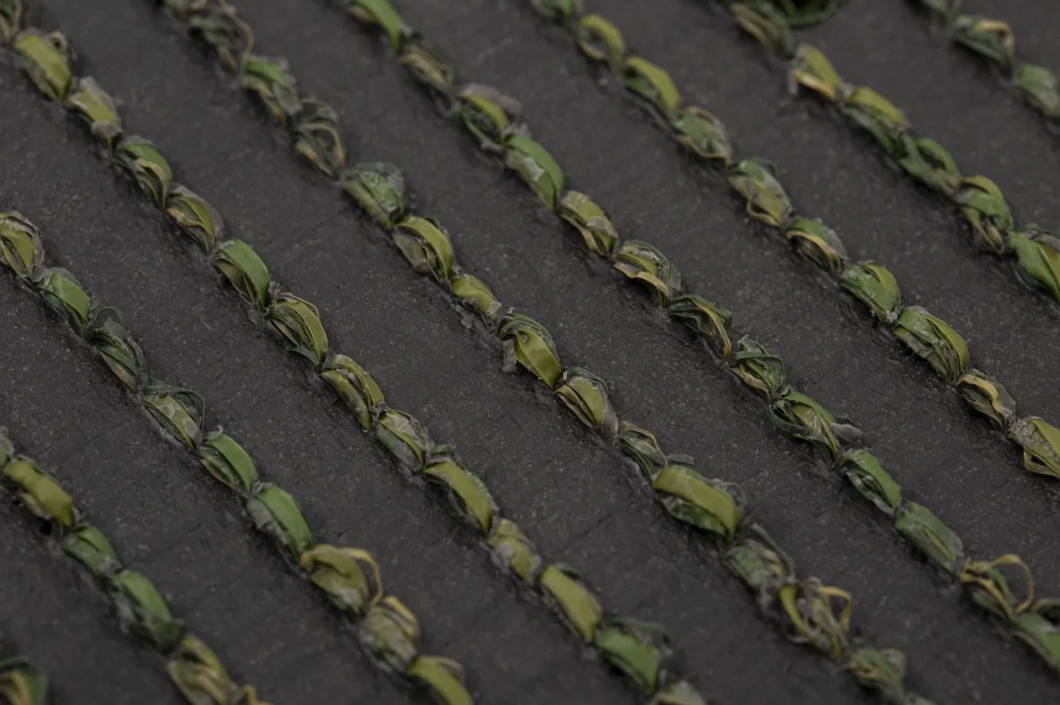 TERRASSIKATE TURFGRASS 2M ALVA OLIVE