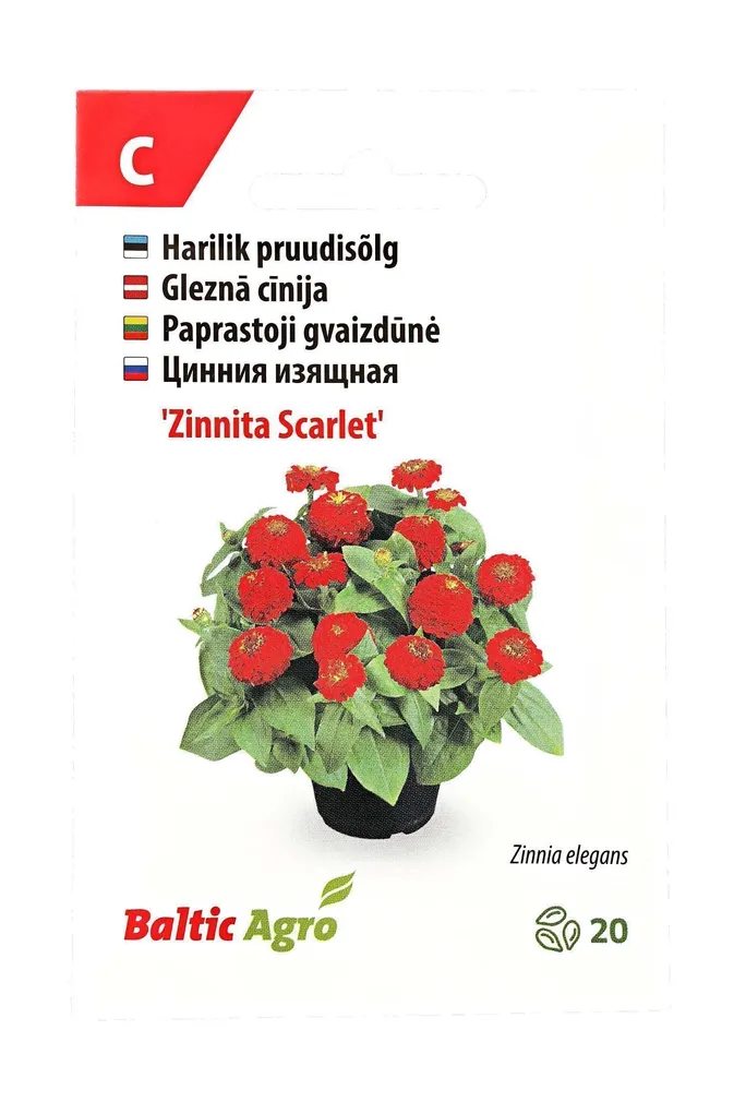 SEEMNED BALTIC AGRO PRUUDISÕLG 'ZINNITA SCARLET' PUNASED ÕIED, 20S