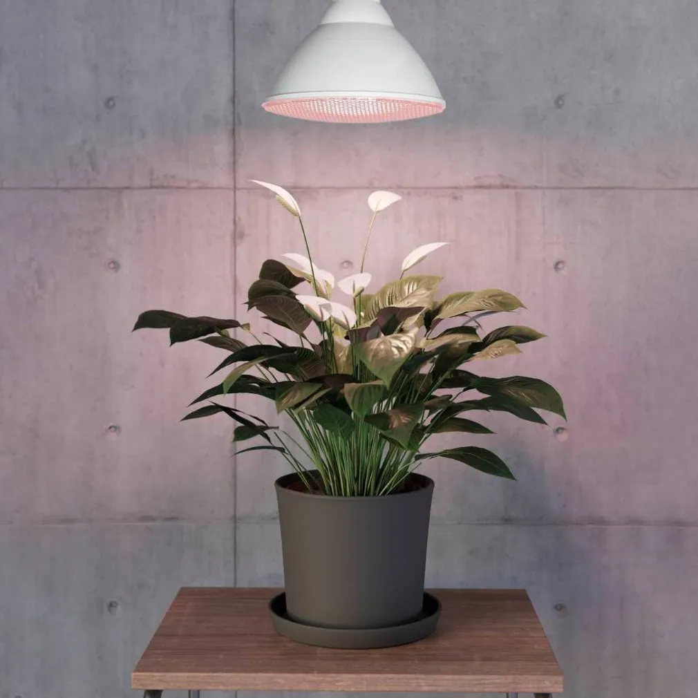 LED LAMP EGLO TAIMEDELE 16W E27 1200LM 3500K PAR38 PUNANE