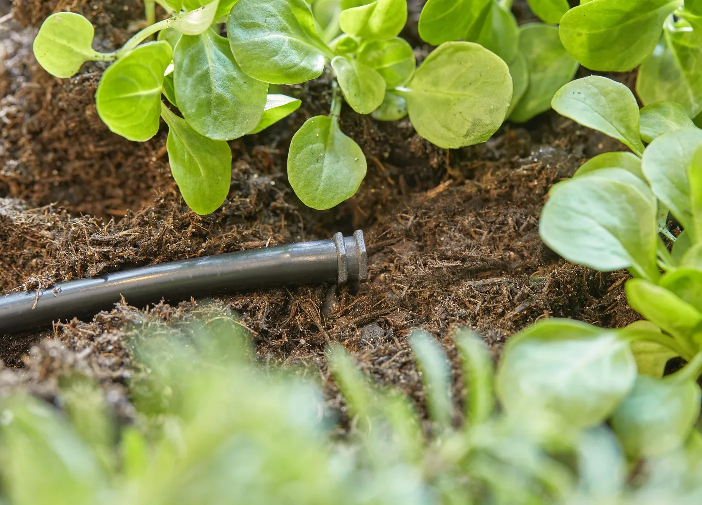 OTSAKORK GARDENA 4,6MM 3/16" 10TK