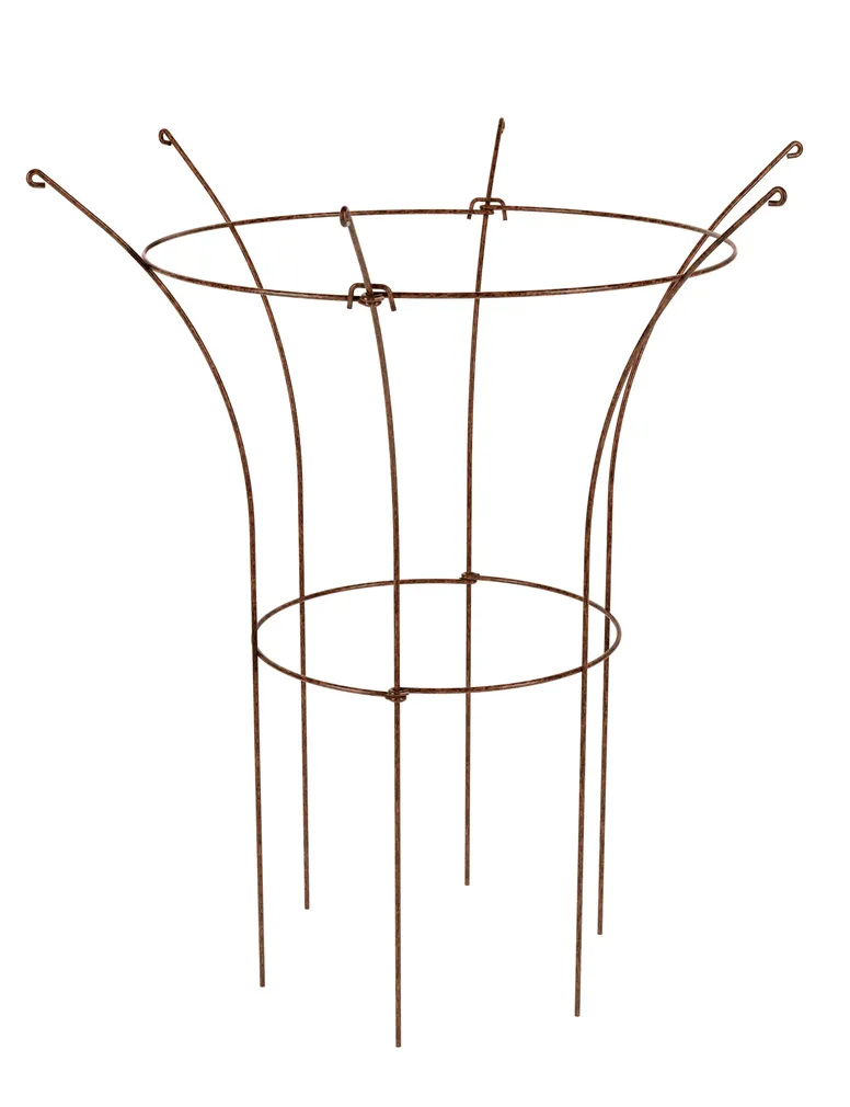 POJENGI- JA ROOSITUGI HANSANOVA KELLUKE
