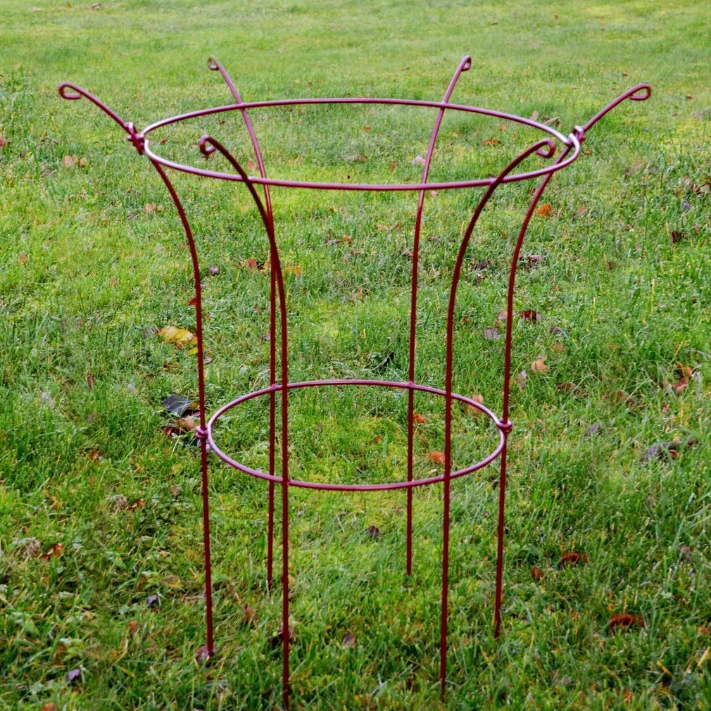 POJENGI- JA ROOSITUGI HANSANOVA KELLUKE