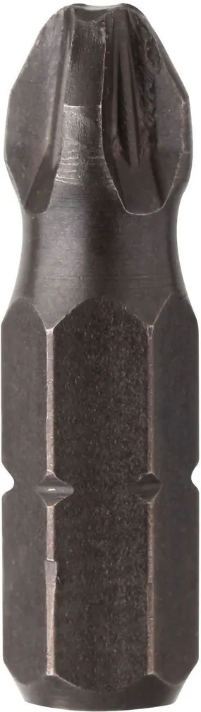 OTSIK DIAGER PZ2X25MM 5TK PAKIS