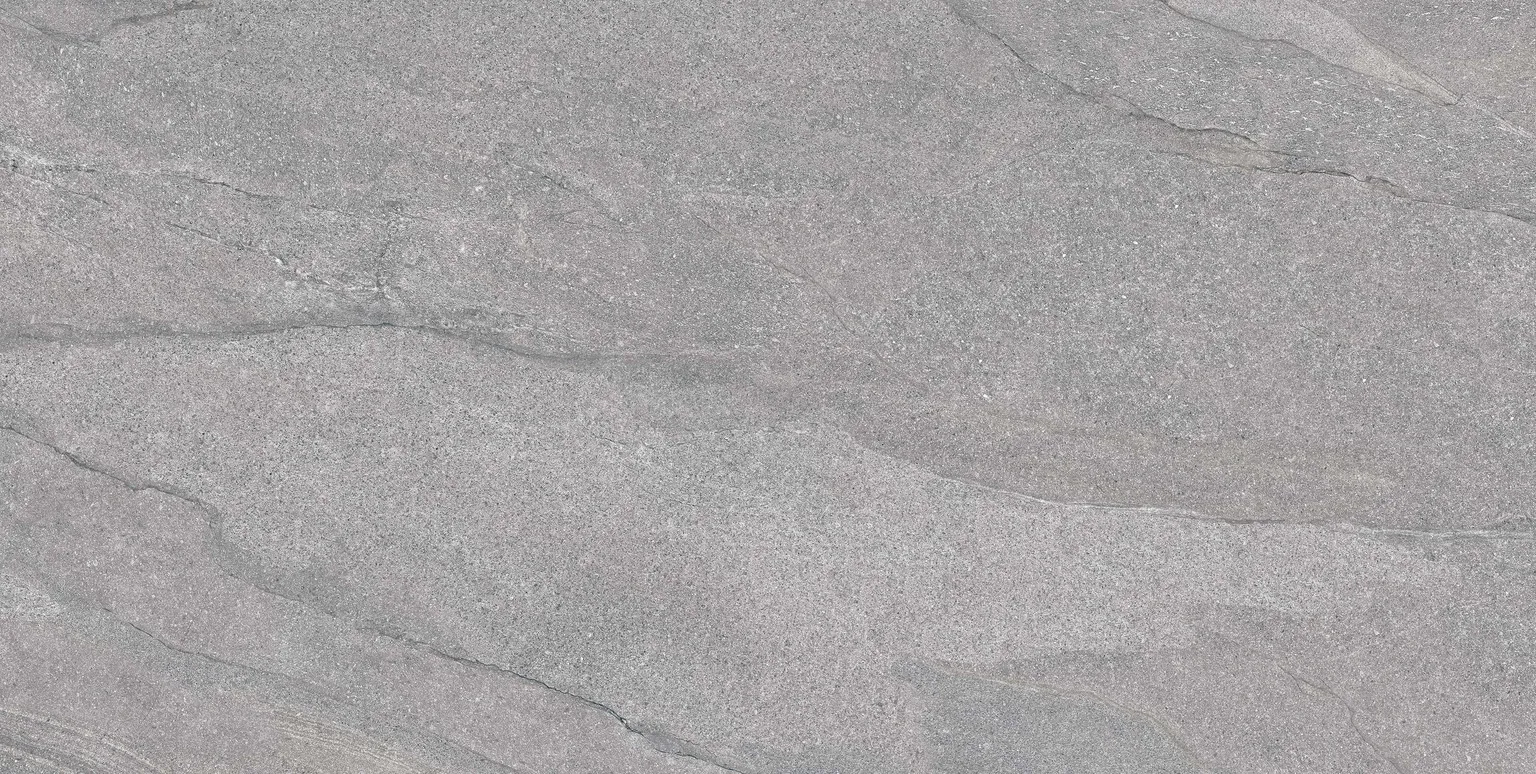 PÕRANDA-JA SEINAPLAAT PRISSMACER HALLEY SILVER MATT 60X120CM