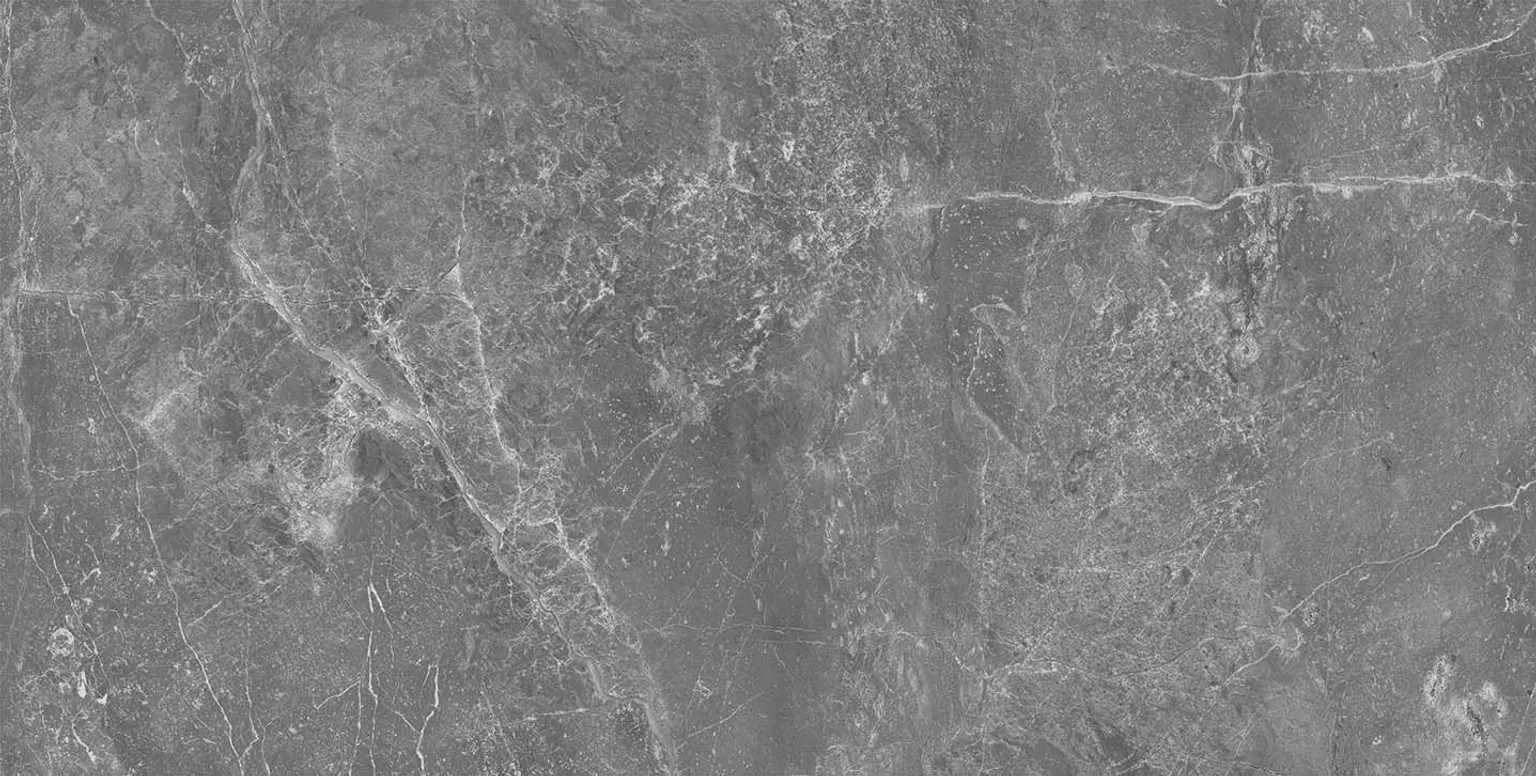 SEINAPLAAT PRISSMACER ESS AUREA GRIS GLOSSY 25X50CM