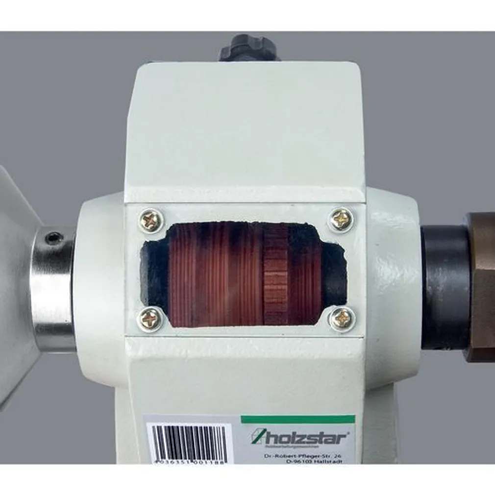 PUIDUTREIPINK HOLZSTAR 230V 50HZ