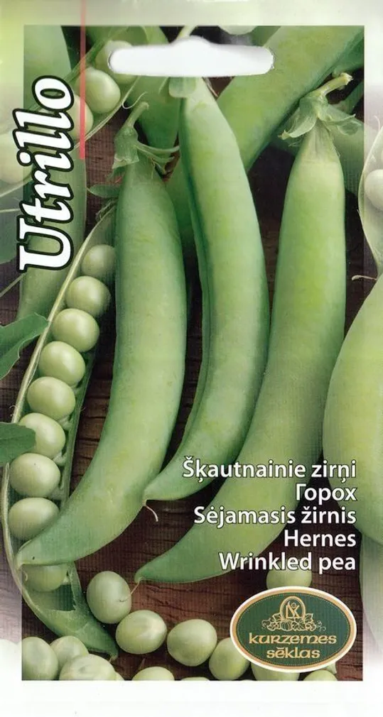SEEMNED KURZEMES SEKLAS HERNES UTRILLO 15G