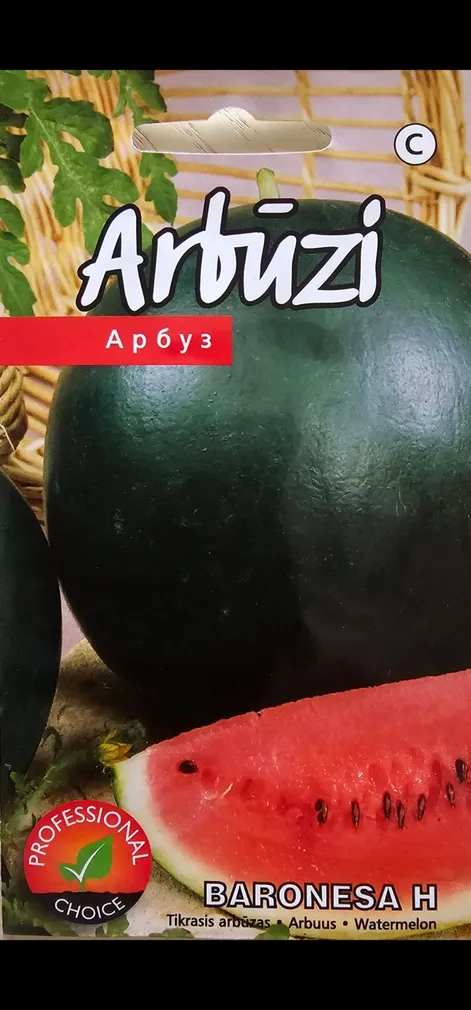 SEEMNED KURZEMES SEKLAS ARBUUS BARONESA H 5 SEEMET