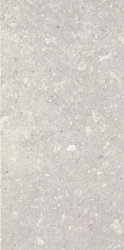 SEINAPLAAT PARADYZ ARAGORN LIGHT GRYS 30X60CM