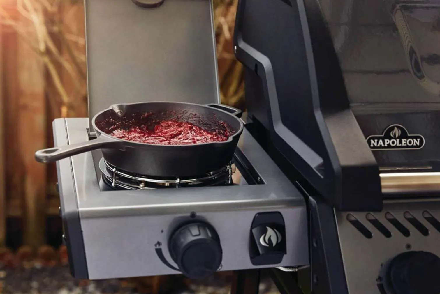 GAASIGRILL NAPOLEON 913 FREESTYLE, F425SBPGT-FI