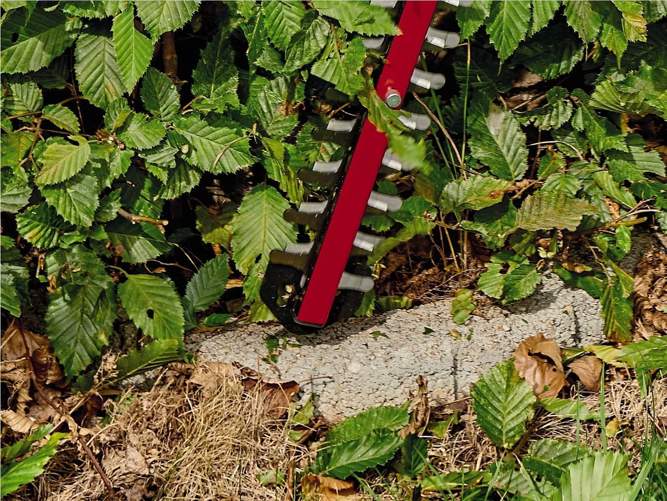 AKUHEKILÕIKUR EINHELL ARCURRA 18/55