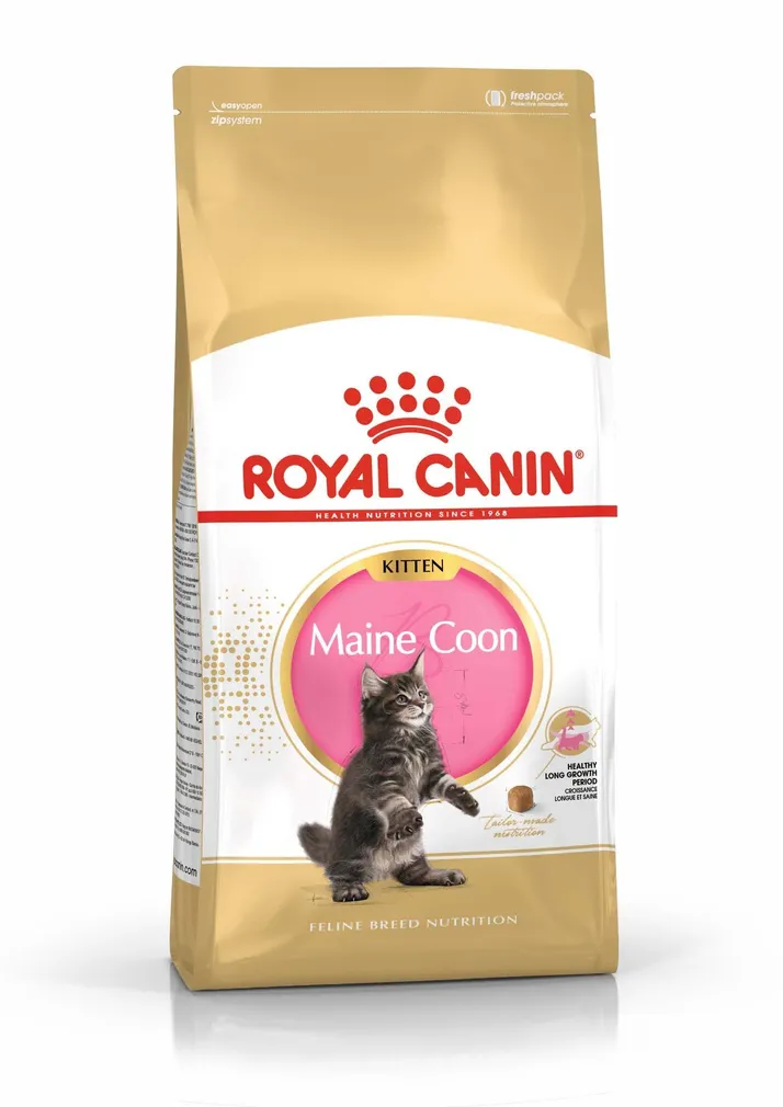 KUIVTOIT ROYAL CANIN KASSIPOJALE MAINE COON 2KG