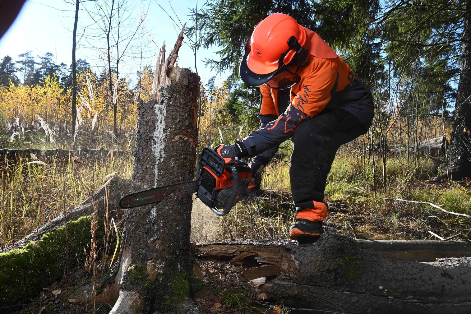 MOOTORSAAG DAEWOO DACS 4500 2,7HP 40CM/16''